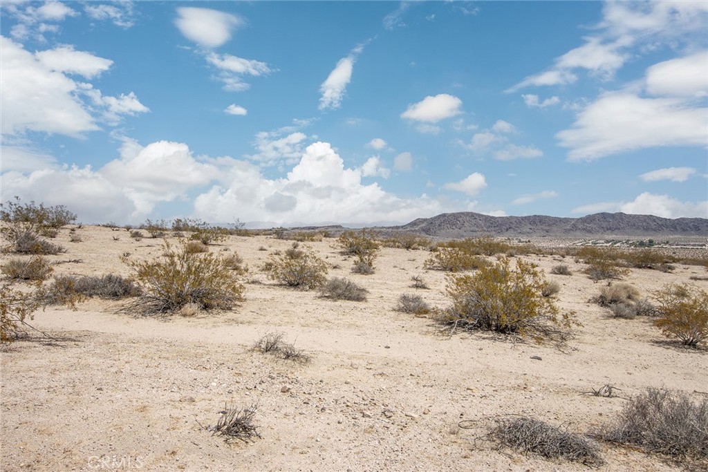 MLS #JT25181057 image #7