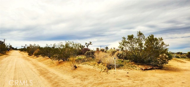 Detail Gallery Image 29 of 40 For 61476 Sandalwood Trl, Joshua Tree,  CA 92252 - 2 Beds | 2 Baths