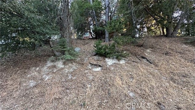 0 Mid Lane, Twin Peaks CA: https://media.crmls.org/medias/2909001c-2725-426b-9d82-3b61771649df.jpg