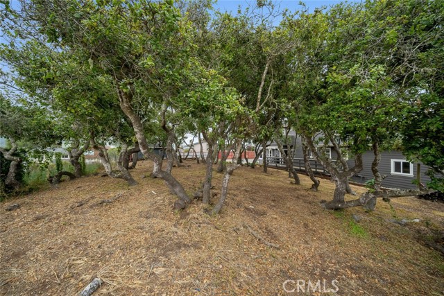Detail Gallery Image 51 of 60 For 1190 Pismo Ave, Los Osos,  CA 93402 - 5 Beds | 3/1 Baths