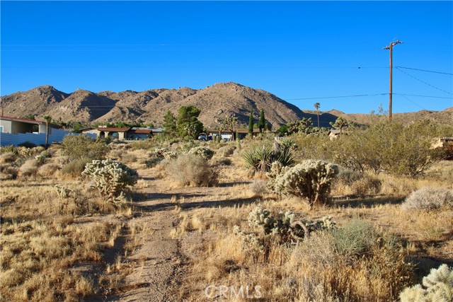 Detail Gallery Image 15 of 20 For 60255 Natoma Trl, Joshua Tree,  CA 92252 - – Beds | – Baths