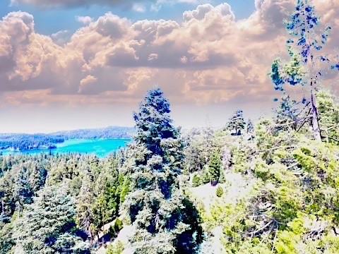Lake Vew