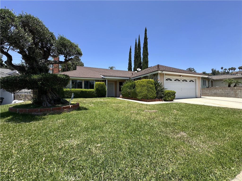 2127 Evergreen Springs Drive