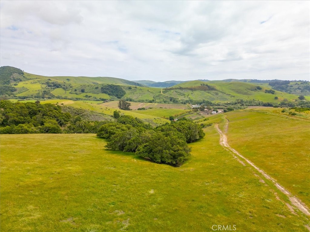 MLS #PI25041316 image #23