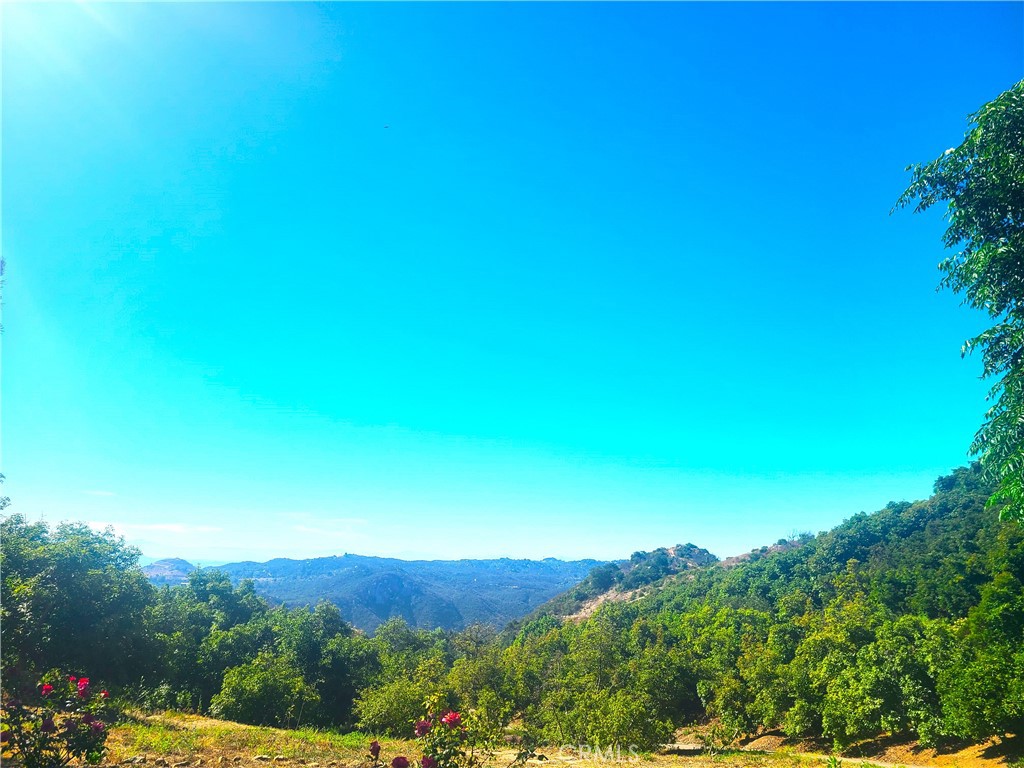 https://media.crmls.org/medias/294798e5-184d-4e19-bdb4-25ab889e8549.jpg?preset=X-Large