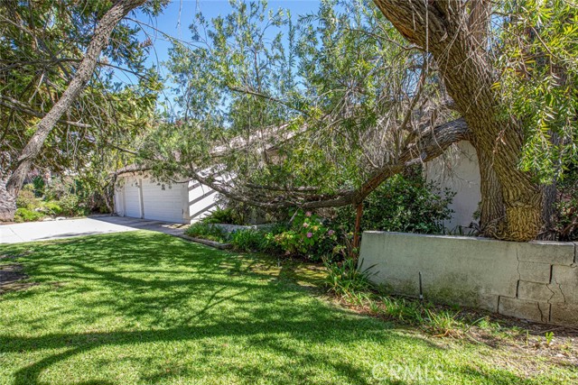 3600 Shannon Way photo 6