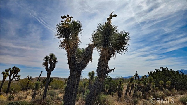 Detail Gallery Image 16 of 49 For 0 103rd St East Vicinity W14, –,  CA 93543 - – Beds | – Baths