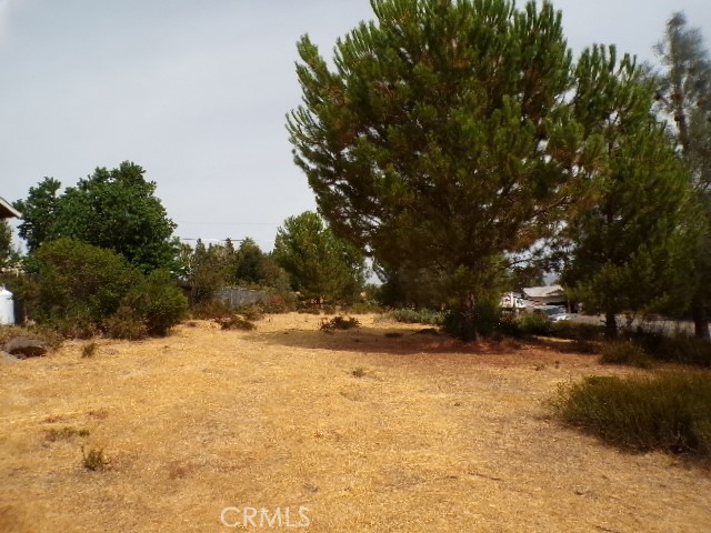 10265 Fairway Drive, Kelseyville CA: https://media.crmls.org/medias/294c7f6e-d060-402a-9c9a-dd77e0da55e7.jpg