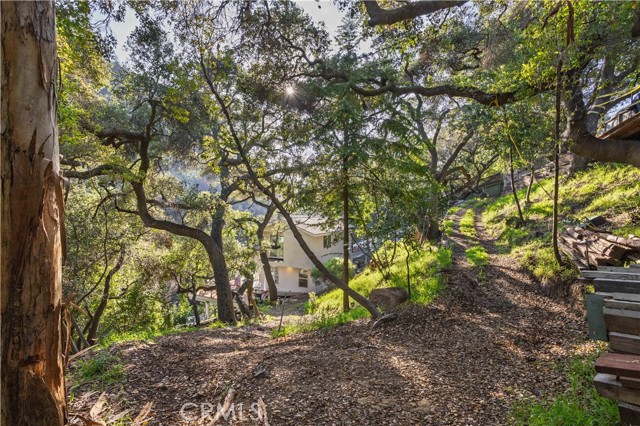 Detail Gallery Image 31 of 45 For 330 S Topanga Canyon Blvd., Topanga,  CA 90290 - 1 Beds | 1 Baths
