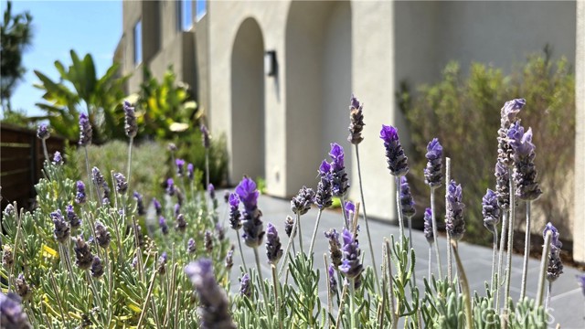610 Cultivate, Irvine CA: https://media.crmls.org/medias/294d1013-3e33-4672-8b64-328d013b616d.jpg