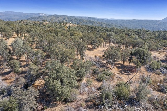 Detail Gallery Image 14 of 16 For 0 39.29 Ac Village Dr, Oakhurst,  CA 93644 - – Beds | – Baths