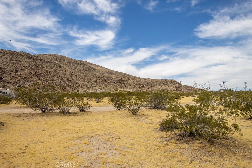 MLS #JT25261609 image #8