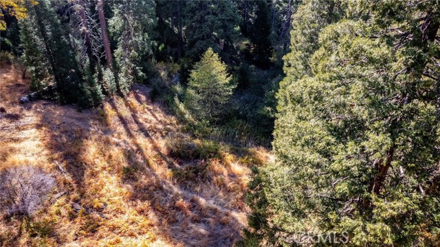 Detail Gallery Image 3 of 40 For 0 Mojave River Rd, Cedarpines Park,  CA 92322 - – Beds | – Baths