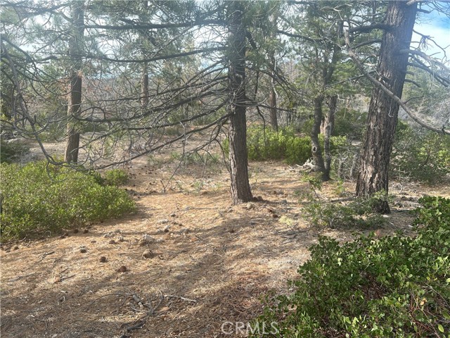 Front Image Thumbnail for CROC26070450