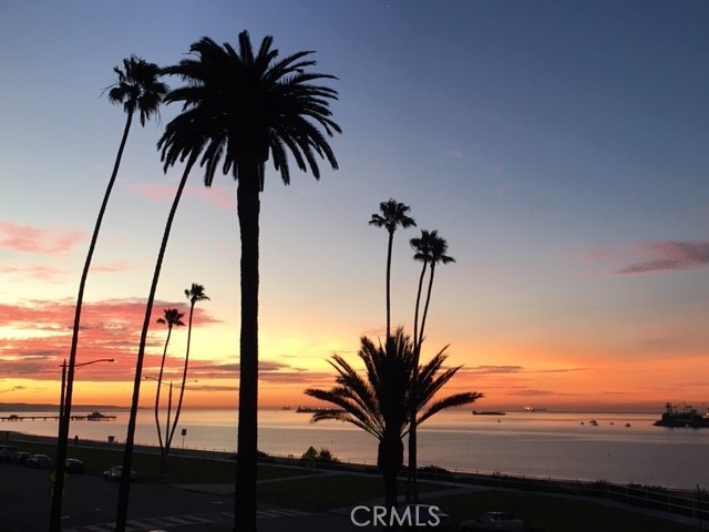 MLS #PW25237940 image #10