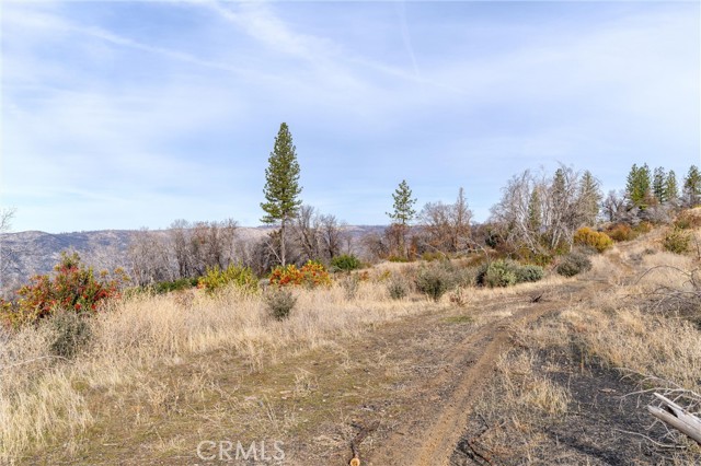 2231 Lumpkin Road, Oroville, California 95966, ,Land,For Sale,2231 Lumpkin Road,CRSN23227176