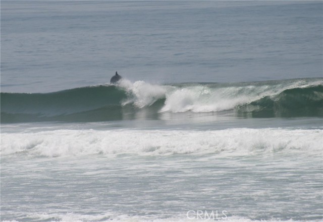 Image 3 of 13 For 236 Avenida Coronado  