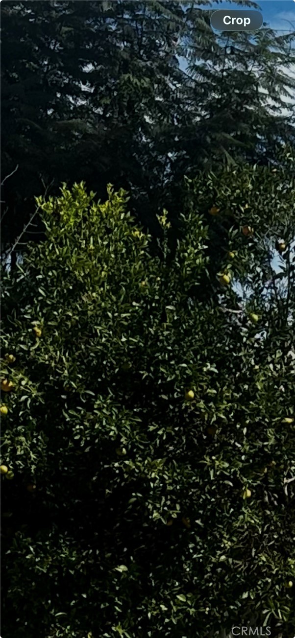 Front Image Thumbnail for CRSR26011668