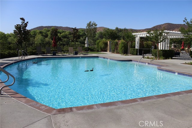 Community Pool #1