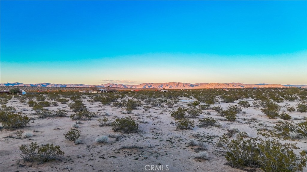 MLS #JT25092315 image #37