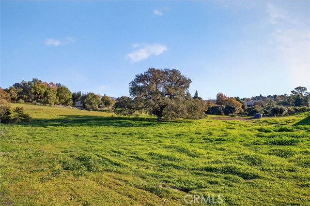 Detail Gallery Image 32 of 45 For 970 College Canyon Rd, Solvang,  CA 93463 - 4 Beds | 4/1 Baths