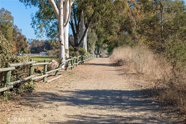 Detail Gallery Image 74 of 74 For 28001 Paseo Barranca, San Juan Capistrano,  CA 92675 - 4 Beds | 2/1 Baths