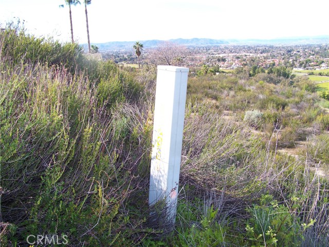 42540 Brix, Hemet CA: https://media.crmls.org/medias/29704ebb-da7d-4be2-8fbf-c960aa73bac3.jpg