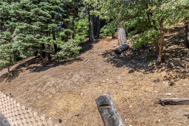 Detail Gallery Image 57 of 69 For 899 Blue Ridge, Lake Arrowhead,  CA 92385 - 3 Beds | 2 Baths