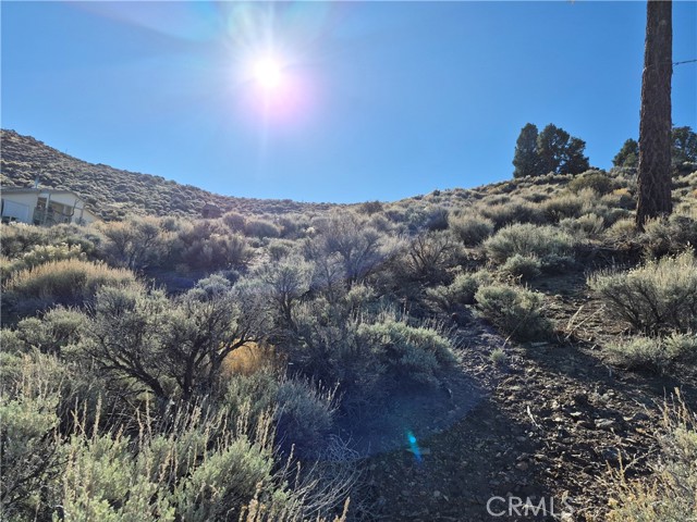 Detail Gallery Image 3 of 11 For 0 Rustic Canyon, Big Bear City,  CA 92314 - – Beds | – Baths