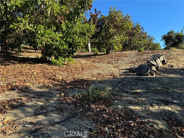 Detail Gallery Image 54 of 63 For 23192 De Anza Rd, Temecula,  CA 92590 - 4 Beds | 3 Baths