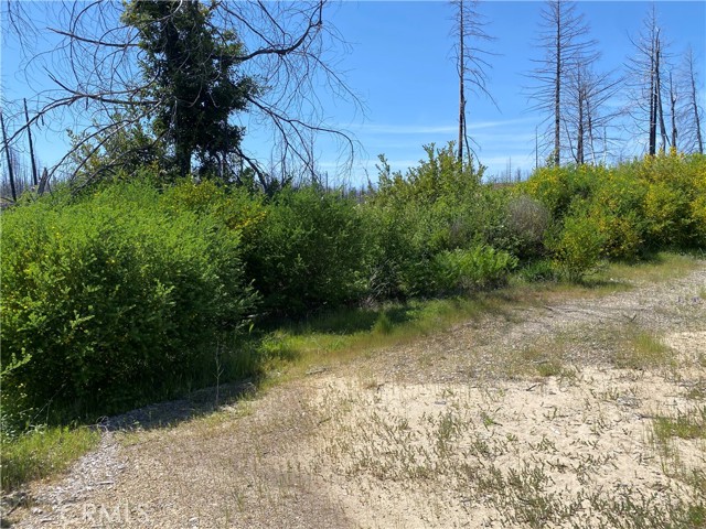 Detail Gallery Image 6 of 24 For 1103 Bald Rock Rd, Berry Creek,  CA 95916 - – Beds | – Baths