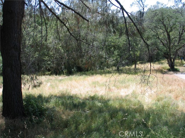 Detail Gallery Image 1 of 3 For 211 Lemon Hill Dr, Oroville,  CA 95966 - – Beds | – Baths