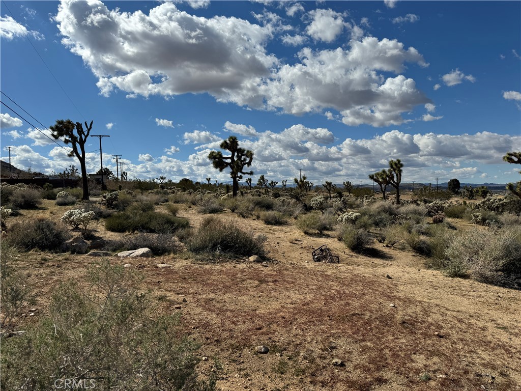 MLS #JT24057098 image #4
