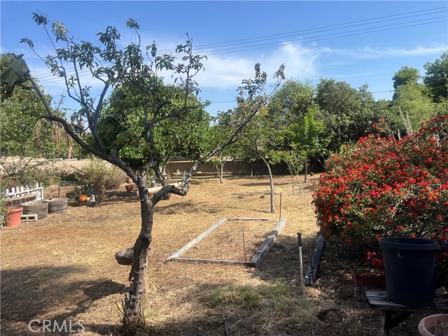 6087 Carol Avenue, Rancho Cucamonga CA: https://media.crmls.org/medias/2981e950-d946-4b4c-adbc-ddcfa1d6bf48.jpg