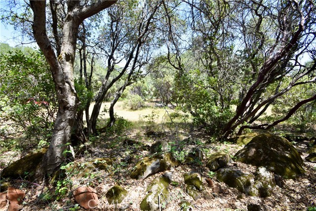 0 Mackey Court, Oroville CA: https://media.crmls.org/medias/2981eba1-ea48-44b5-8ef5-606fee80fe0a.jpg