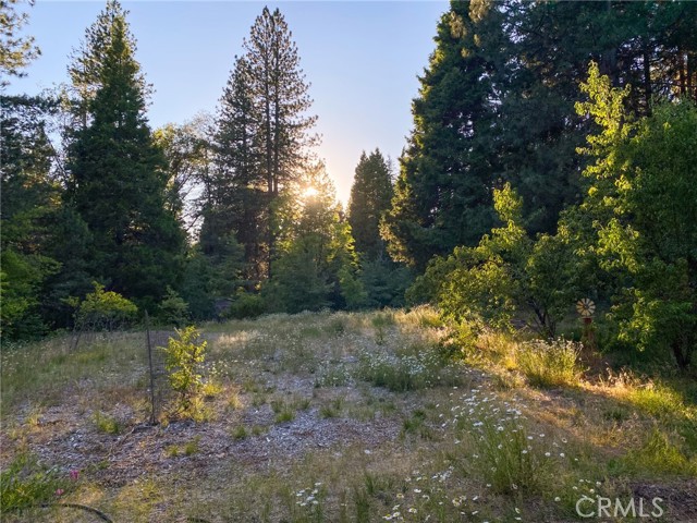 Detail Gallery Image 63 of 65 For 2737 S Old Stage Rd, Mount Shasta,  CA 96067 - 3 Beds | 2/1 Baths