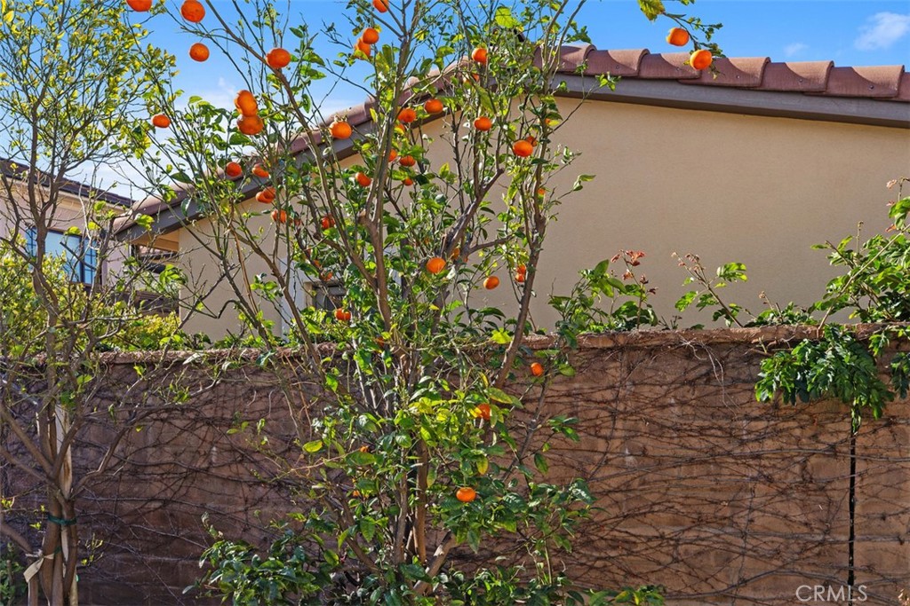 https://media.crmls.org/medias/298a9d04-851e-4def-a646-684b3c31bb9b.jpg?preset=X-Large