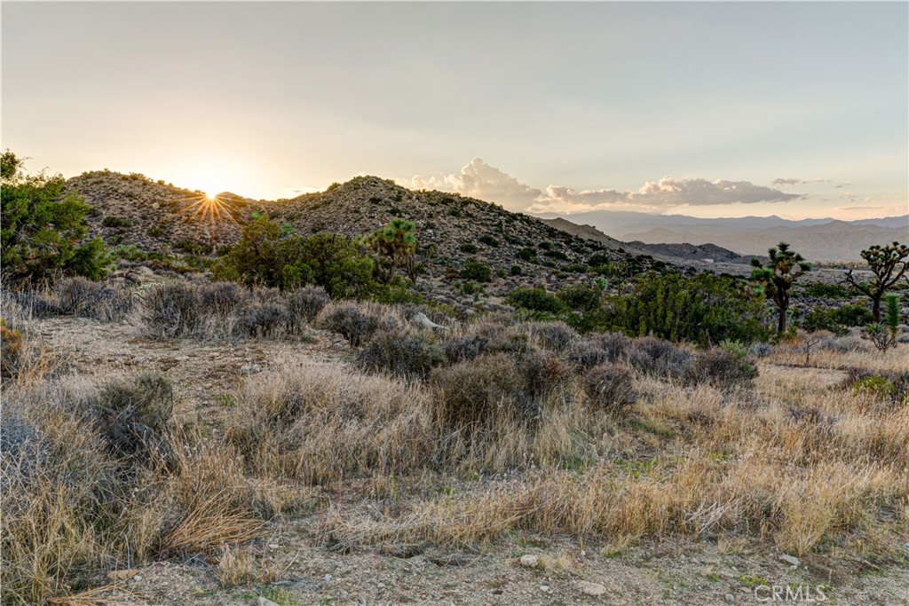 MLS #JT25229239 image #1