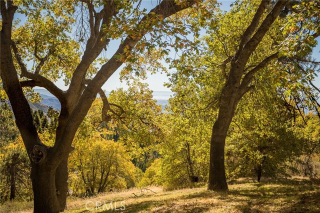 2461 Spring Oak Drive, Running Springs CA: https://media.crmls.org/medias/298ed499-7690-44ac-8bdc-d4ef6e807e42.jpg