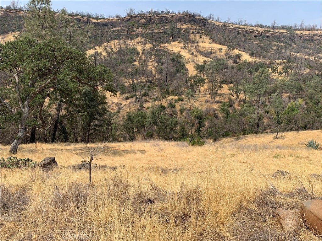 3923 Dry Creek Road, Butte Valley, CA 95965