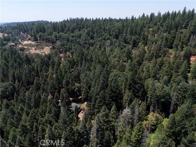 0 Slalom Lane, Pollock Pines CA: https://media.crmls.org/medias/29953384-e6bf-4f43-9013-eb18918cb38b.jpg