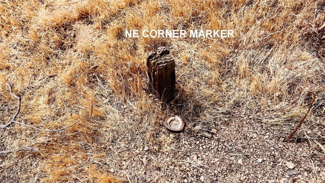 Detail Gallery Image 20 of 26 For 46330404 Earlimart St, Apple Valley,  CA 92307 - – Beds | – Baths