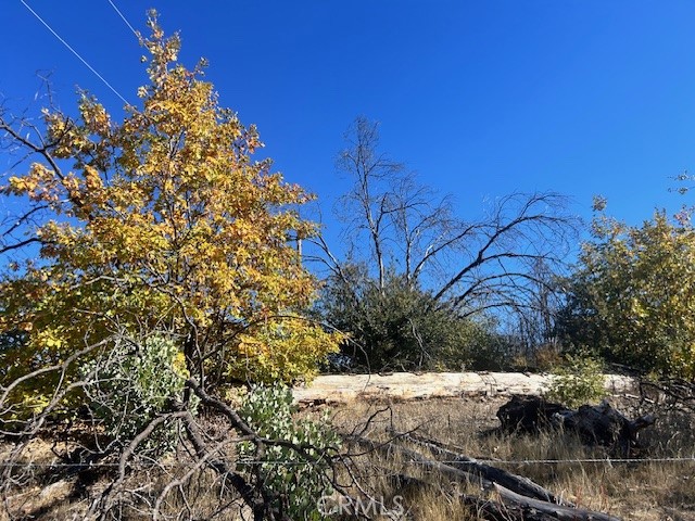 Detail Gallery Image 37 of 39 For 0 Craig Access, Feather Falls,  CA 95940 - – Beds | – Baths