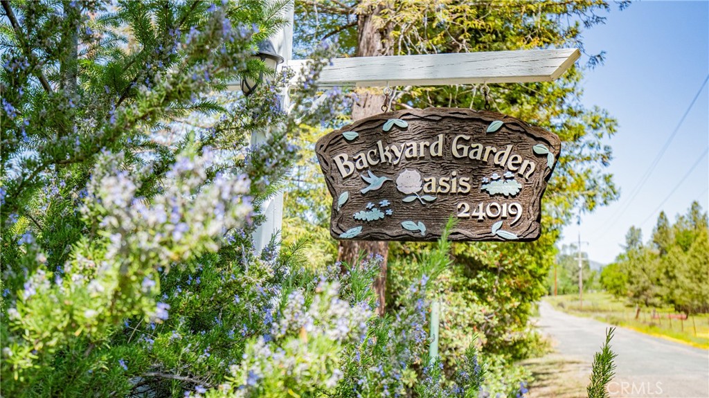 24019 Hilderbrand Road