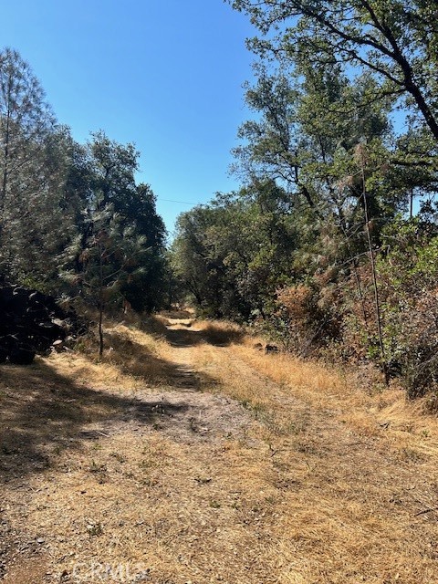 Detail Gallery Image 16 of 21 For 1403 Forbestown, Oroville,  CA 95966 - – Beds | – Baths