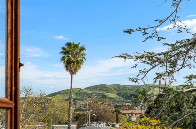 31462 El Camino Real, San Juan Capistrano CA: https://media.crmls.org/medias/299ec38a-8302-4aa4-a30e-f08c8371df09.jpg