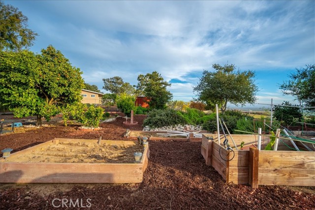 1561 Cielo Lane, Nipomo CA: https://media.crmls.org/medias/29a0ff7a-cfac-4acb-ae4a-44c9d1cb6b83.jpg