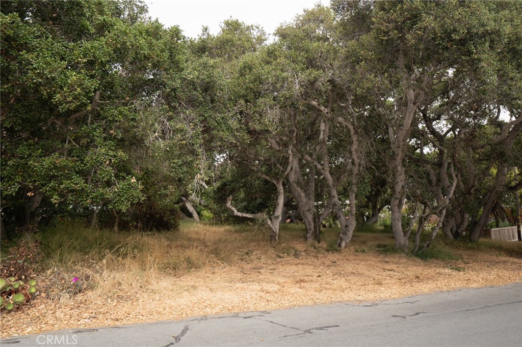 MLS #SC25145989 image #2