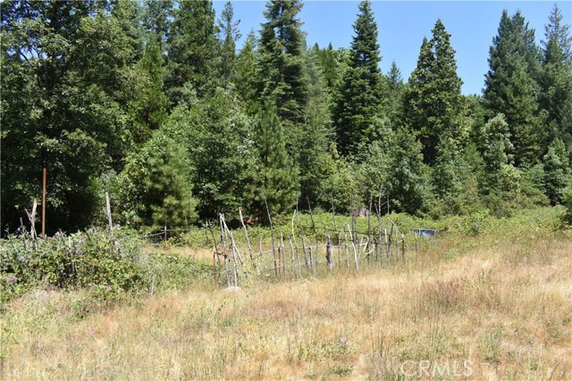 Detail Gallery Image 7 of 43 For 11605 La Porte Rd, Clipper Mills,  CA 95925 - 3 Beds | 2/1 Baths