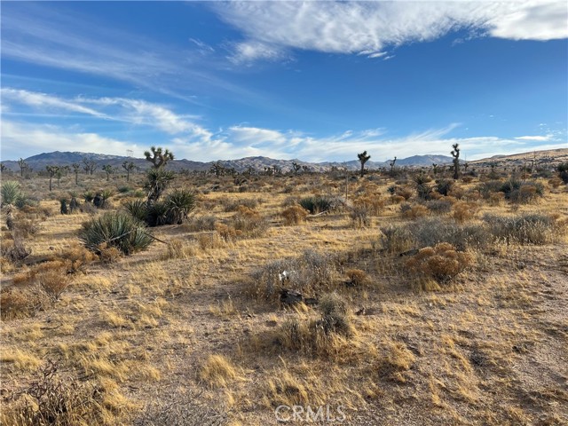 23926 Poppy Road, Apple Valley CA: https://media.crmls.org/medias/29a5f85f-b3a7-4df6-9ffb-deb8e92f98e7.jpg